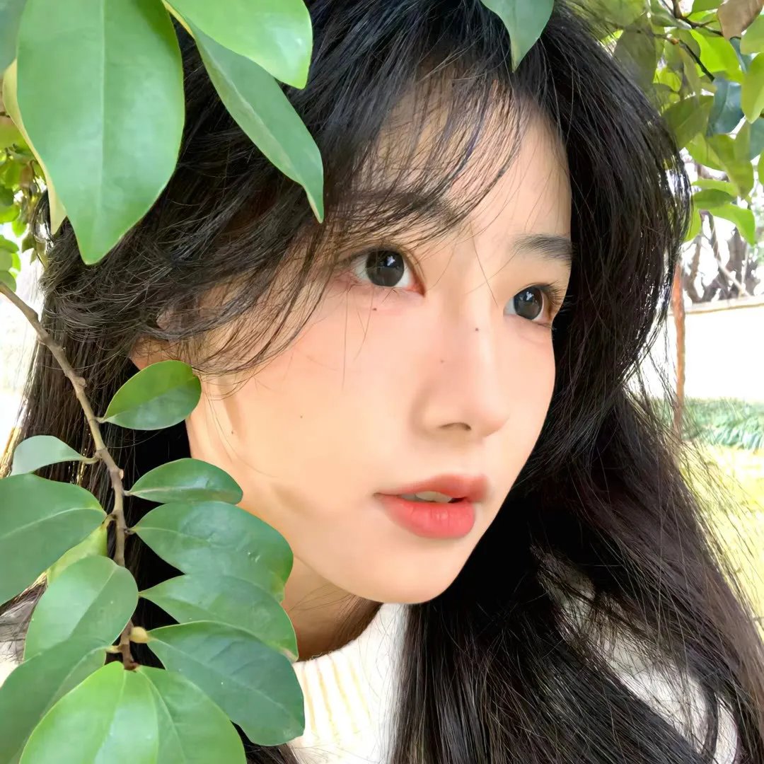 霍拉一家